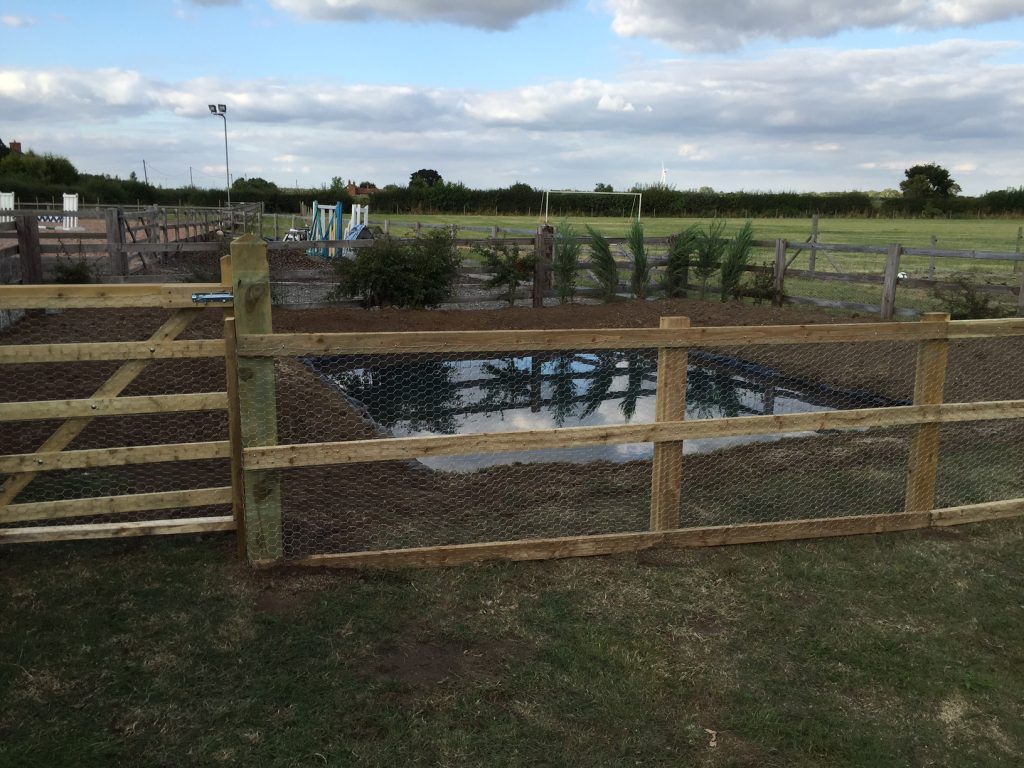 Project to create a duck pond at Brough