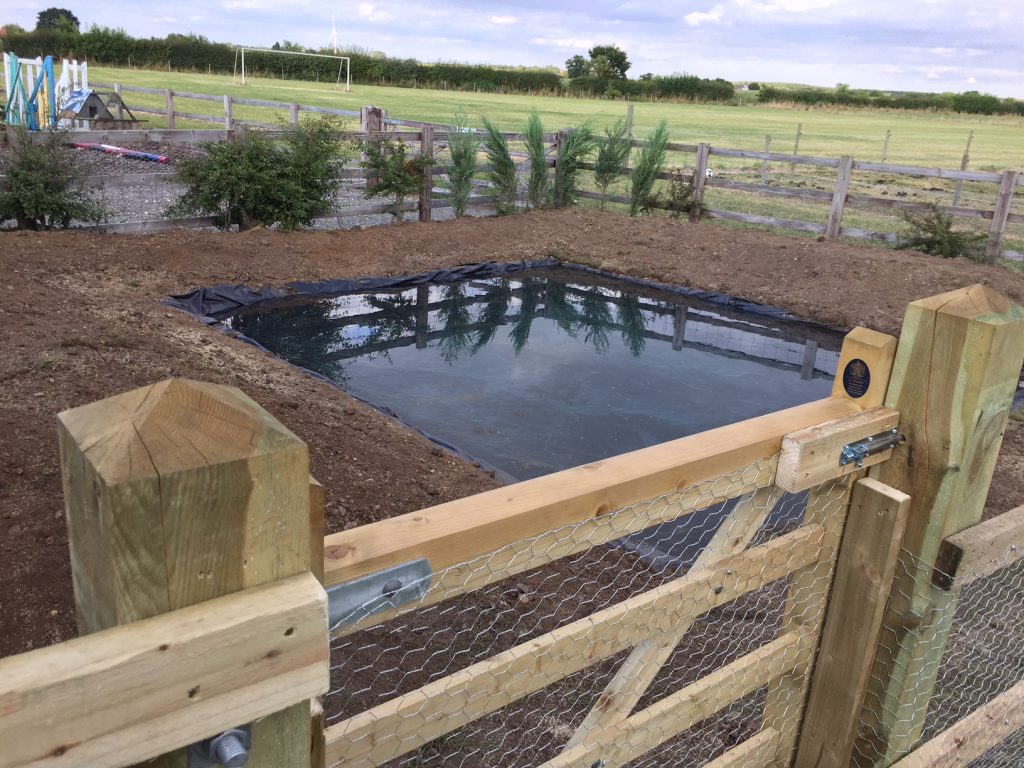 Project to create a duck pond at Brough