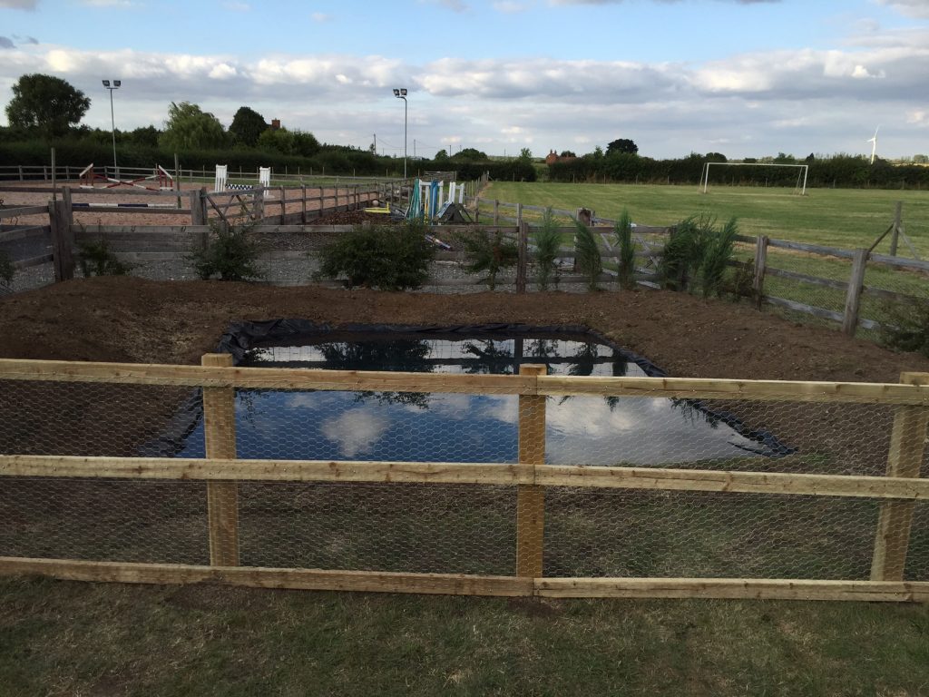 Project to create a duck pond at Brough