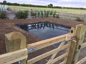 Project to create a duck pond at Brough